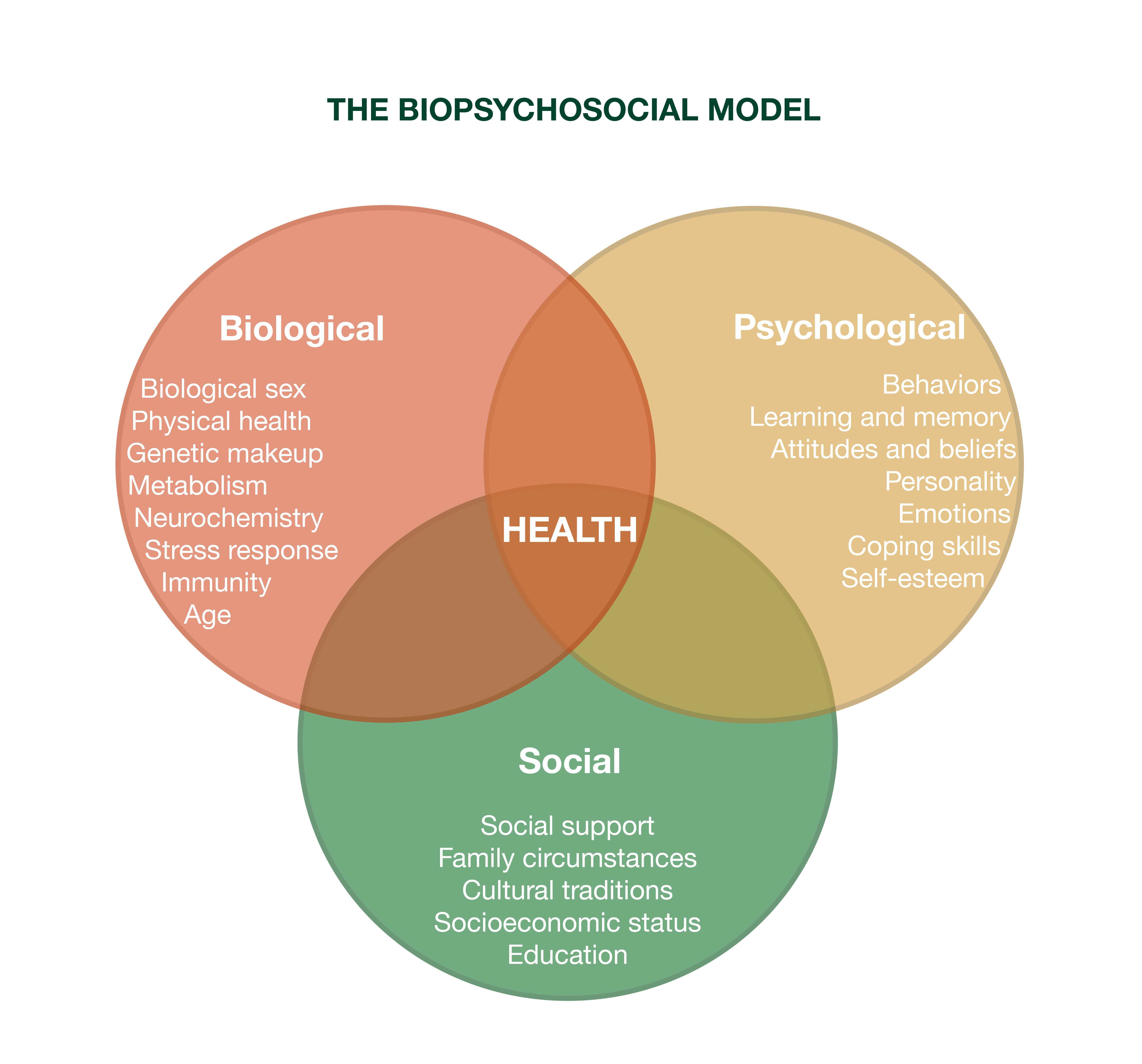 Psychosocial model